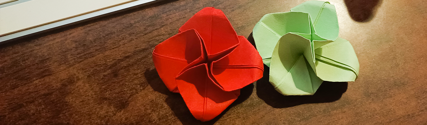 python3 update in MacOS